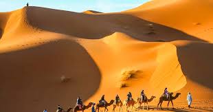 sahara